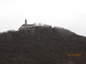 IMG_7533